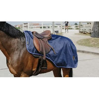 Produktbild von Equithème Classic Nierendecke für Pferde aus Polyester in Schwarz oder Blau