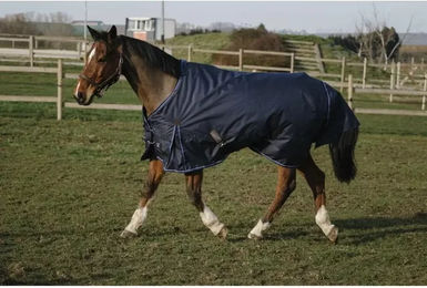 Produktbild von Equithème Classic Outdoor-Decke aus Nylon in Blau