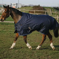 Produktbild von Equithème Classic Outdoor-Pferdedecke aus 600D Nylon in Blau
