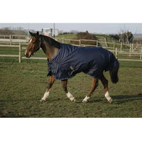 Produktbild von Equithème Classic Outdoor-Pferdedecke aus Nylon in Blau
