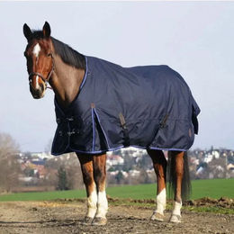 Produktbild von Equithème Classic Outdoor-Pferdedecke aus Nylon in Blau mit 200 g Füllung - 200 g