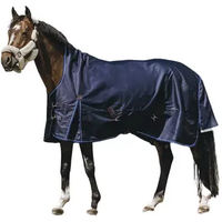 Produktbild von Equithème Classic Pferdedecke für draußen mit Stehkragen aus Nylon in Blau