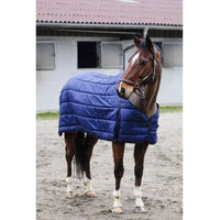 Produktbild von Equithème Classic Unterdecke für Pferde Größe 5'6