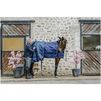 Produktbild von Equithème Classic Unterdecke für Pferde aus Nylon in Blau