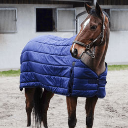 Equithème Classic Unterdecke für Pferde aus Polyester in Blau 50g – Bild 1 von 3