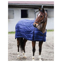 Produktbild von Equithème Classic Unterdecke für Pferde Blau 5'9 - 50 g