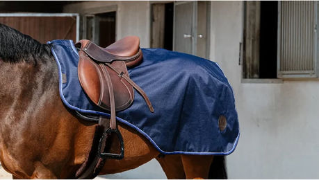 Produktbild von Equithème Classic Wasserdichte Nierendecke für Pferde in Blau oder Schwarz