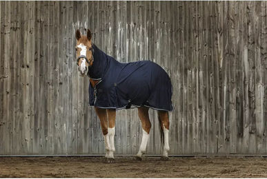 Produktbild von Equithème Combo Pferdedecke Blau