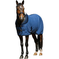 Produktbild von Equithème Comfortech Fleecehemd für Pferde aus Mischgewebe Blau-Gold 145 cm