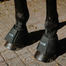 Equithème Cool&Dry Glocken Gamaschen Fresh Schwarz Größe L – Bild 1 von 3