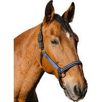 Produktbild von Equithème Domino Pferdehalfter aus Nylon mit Metallic-Effekt und Strasssteinen für Warmblut Pferde in Blau
