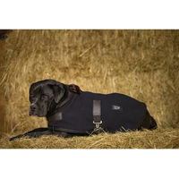 Produktbild von Equithème Fleece-Hundedecke Diego & Louna Teddy für erwachsene Hunde