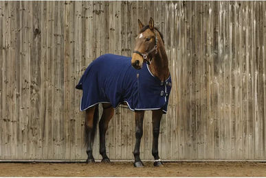 Produktbild von Equithème Fleece-Pferdedecke Vague in Blau