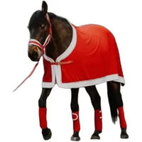 Produktbild von Equithème Fleecehemd für Pferde Xmas in Weiß Silber Rot