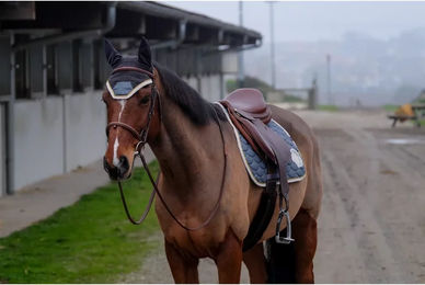 Produktbild von Equithème Fliegenhaube für Pferde aus Denim Polyester in Blau und Grau