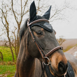 Equithème Fliegenhaube Pony aus Polyester in Pearl – Bild 1 von 7