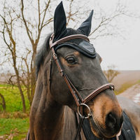 Produktbild von Equithème Fliegenhaube Pony aus Polyester in Pearl