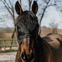 Produktbild von Equithème Fliegenmaske für Pferde aus Mesh ohne Ohrenschutz Schwarz