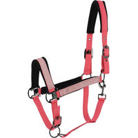 Produktbild von Equithème Glowy Pferd Halfter in Schwarz und Rosa