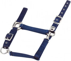 Produktbild von Equithème Halfter aus Nylon in Blau