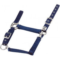 Produktbild von Equithème Halfter aus Nylon in Blau
