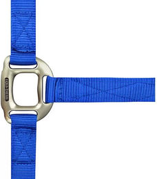 Produktbild von Equithème Halfter aus Nylon in Blau für Pferde