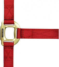 Produktbild von Equithème Halfter aus Nylon in Rot