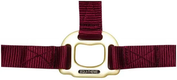 Produktbild von Equithème Halfter aus Nylon in Rot
