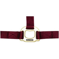 Produktbild von Equithème Halfter aus Nylon in Rot