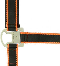 Produktbild von Equithème Halfter aus Nylon in Schwarz