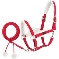Produktbild von Equithème Halfter und Longiergurt für Pferde aus Fleece in Rot