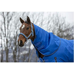 Equithème Halsteil für Pony Weidedecke aus 1200D Tyrex Polyester mit 200g Füllung blau/schwarz - 200 g – Bild 1 von 3