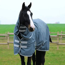 Produktbild von Equithème Halsteil Tyrex 600D für Ponys aus Polyester