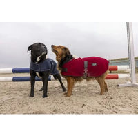 Produktbild von Equithème Hundedecke aus Nylon für erwachsene Hunde