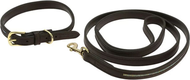 Produktbild von Equithème Hundehalsband und Führleine aus Kunstleder in Braun mit Goldfarbenen Details
