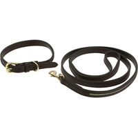 Produktbild von Equithème Hundehalsband und Führleine aus Kunstleder in Braun mit Goldfarbenen Details