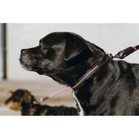 Produktbild von Equithème Hundehalsband und Führleine Set aus Kunstleder in Braun für kleine Hunde