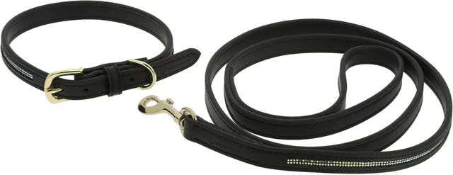 Equithème Hundehalsband und Leine aus synthetischem Material in Schwarz und Gold – Bild 1 von 1