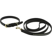 Produktbild von Equithème Hundehalsband und Leine aus synthetischem Material in Schwarz und Gold