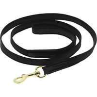 Produktbild von Equithème Hundeleine Nala aus Kunstleder in Schwarz mit Gold