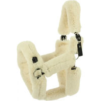 Produktbild von Equithème JTM Halfter für Pferde in Beige
