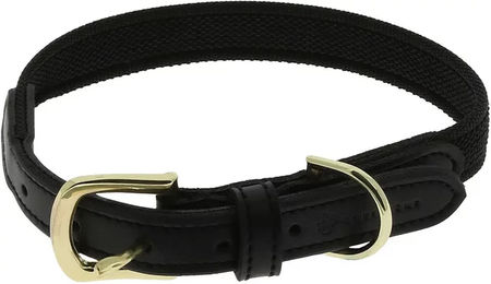 Produktbild von Equithème Nala Hundehalsband aus Kunstleder in Schwarz-Gold