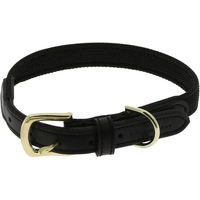 Produktbild von Equithème Nala Hundehalsband aus Kunstleder in Schwarz-Gold