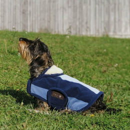 Equithème New Market Hundedecke – Bild 1 von 8