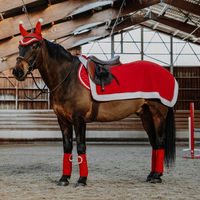 Produktbild von Equithème Nierendecke für Pferde Xmas Fleece in Rot Weiß Silber
