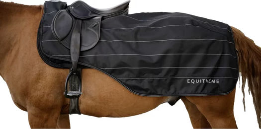 Produktbild von Equithème Nierendecke für Pferde Polar Tyrex Lumin 600D Schwarz