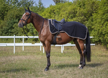 Equithème Nierendecke Polyfun Leuchtblau 155 aus Polyester – Bild 1 von 1