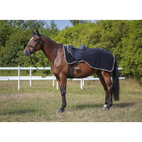 Produktbild von Equithème Nierendecke Polyfun Leuchtblau 155 aus Polyester