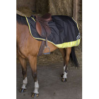 Produktbild von Equithème Nierendecke Tyrex 600D Reflective Schwarz aus Polyester