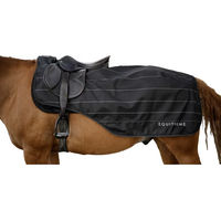 Produktbild von Equithème Nierendecke Tyrex Lumin für Pferde Schwarz 600D Polyester
